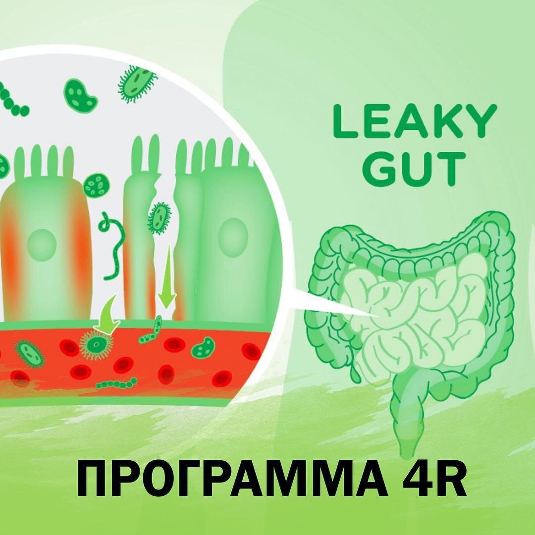 4r программа для кишечника препараты и схема