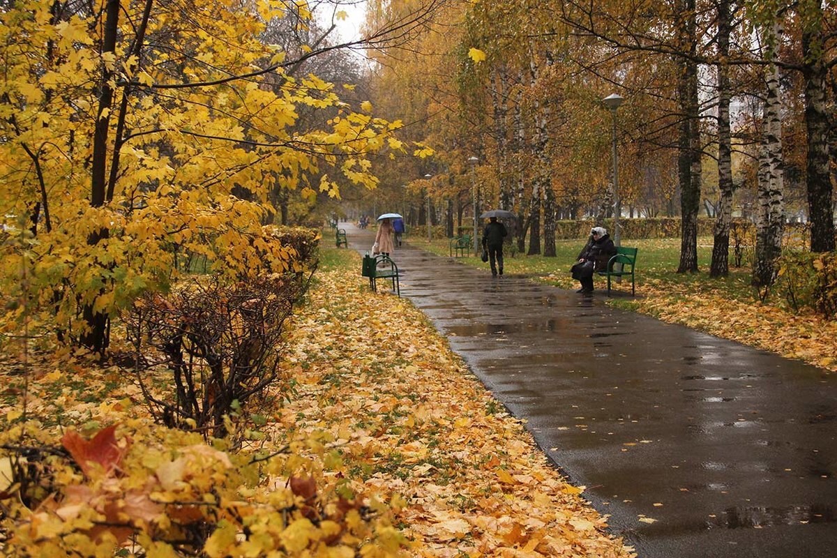 Холодно БР.