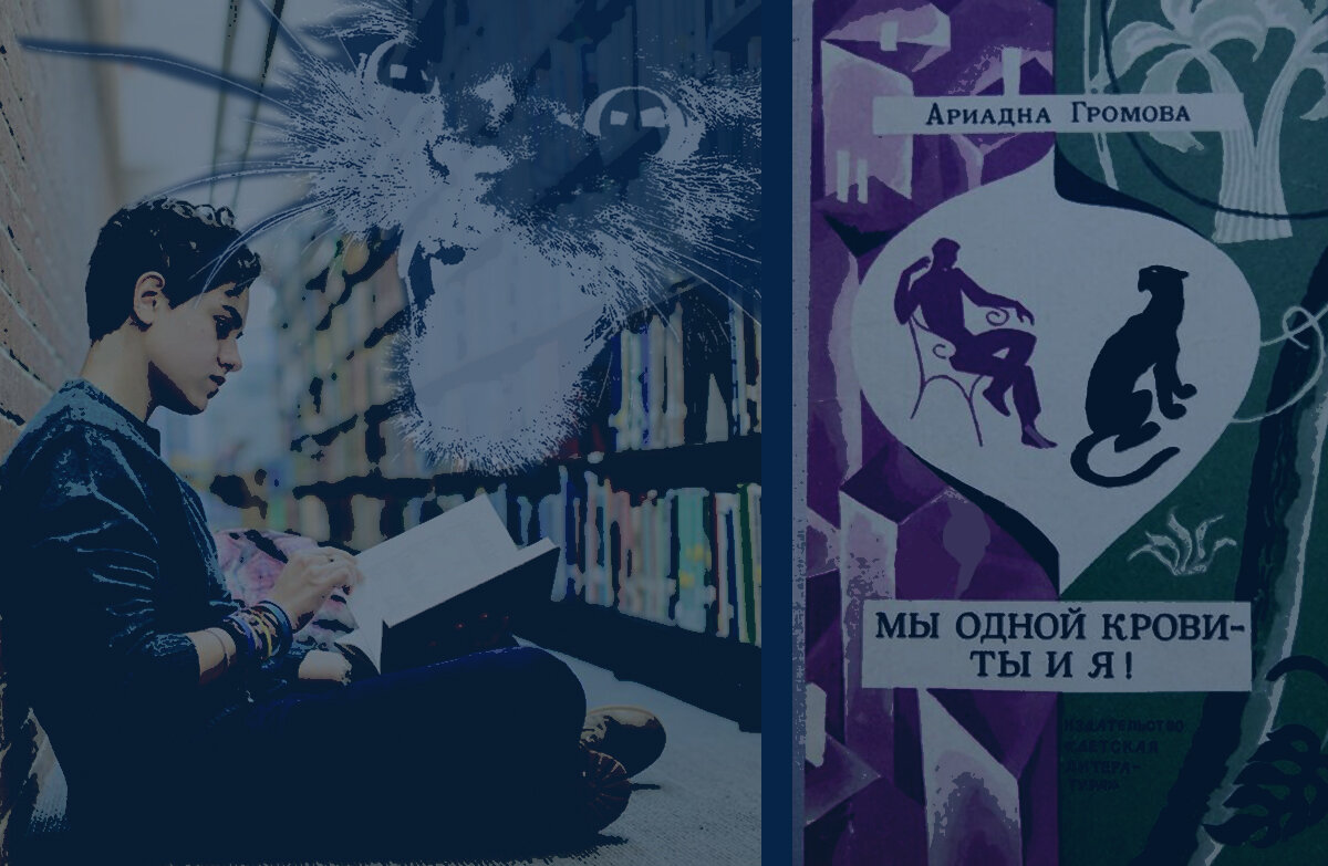 Книга мне понравилась...