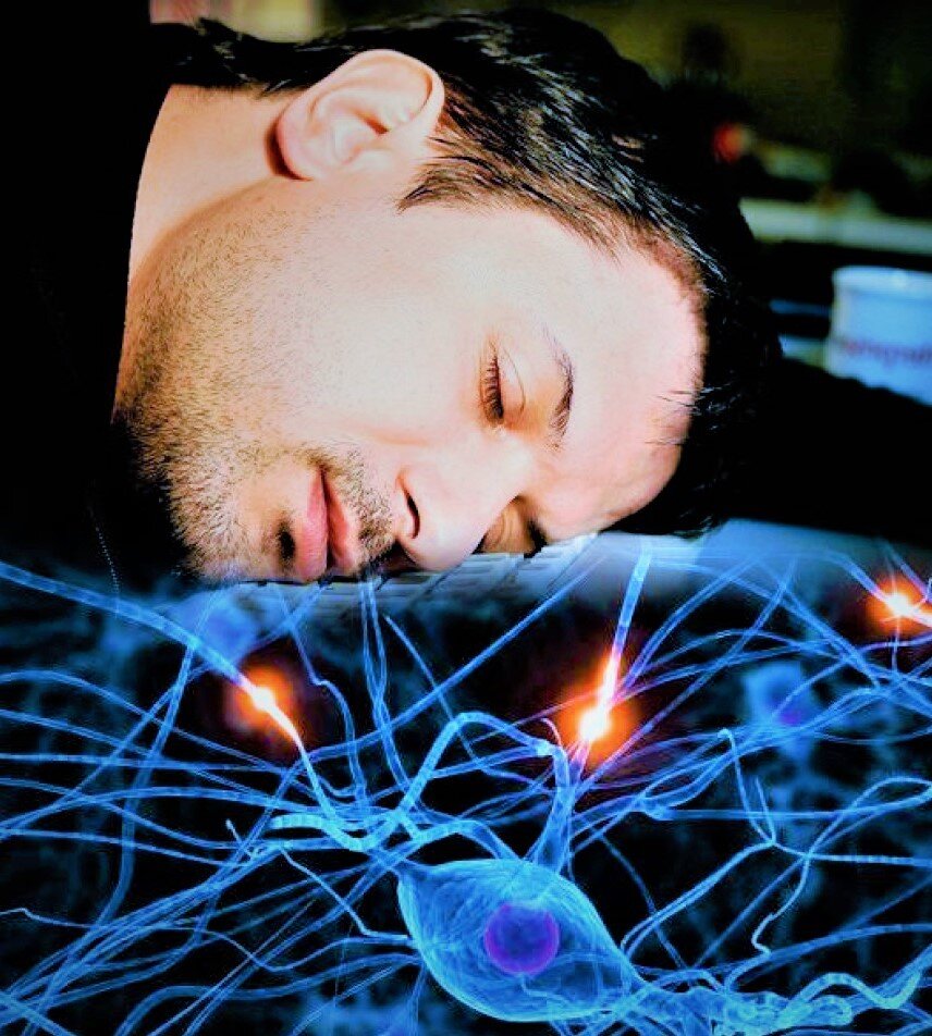 Картинка взята из Яндекс Картинки.