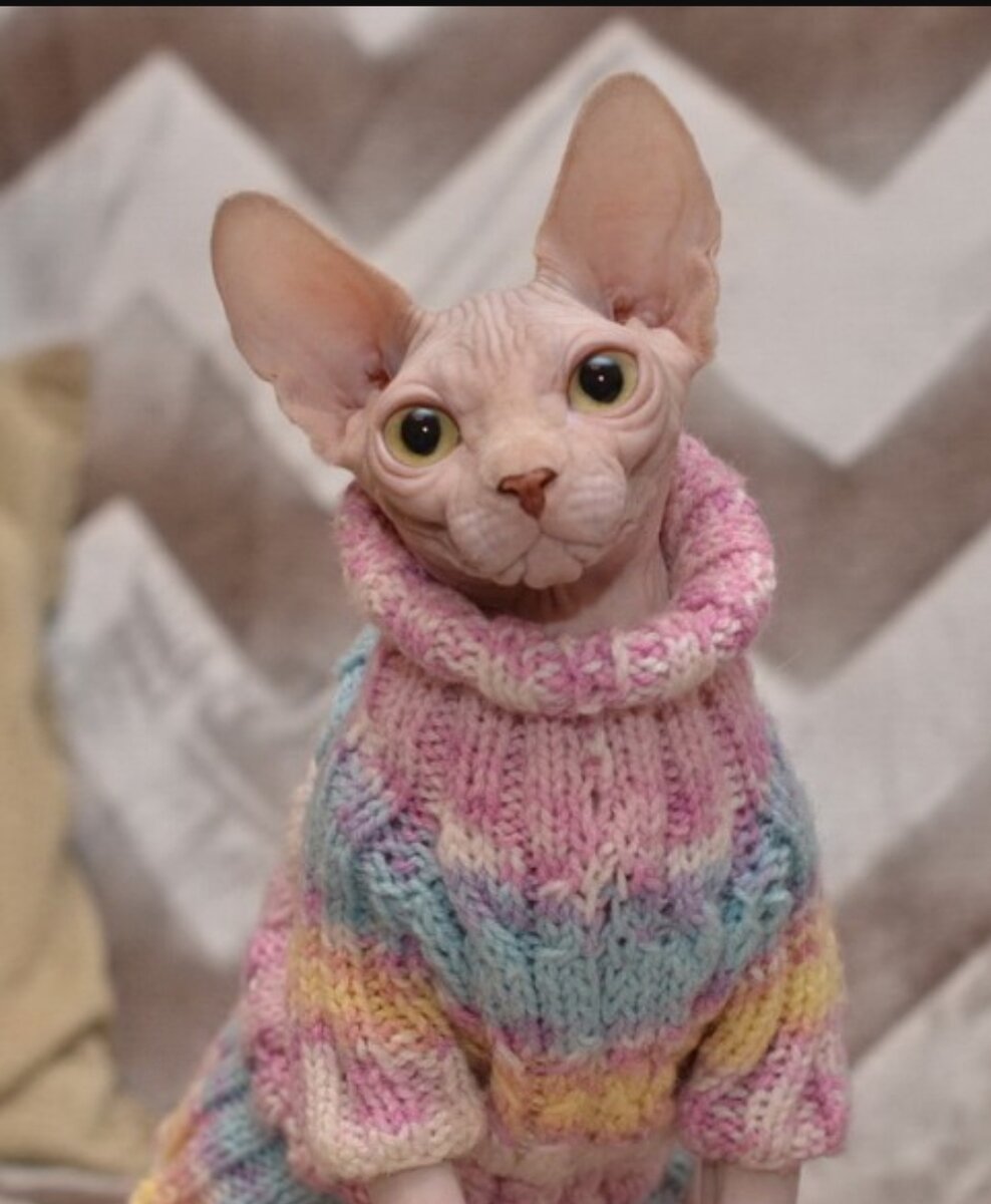 Хотя по морде и не скажешь, что они добряки