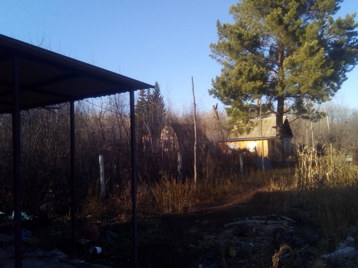 Личное фото