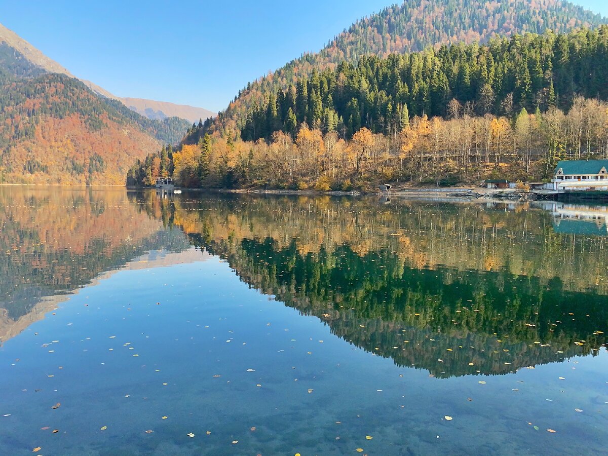 кафе рица в волгограде