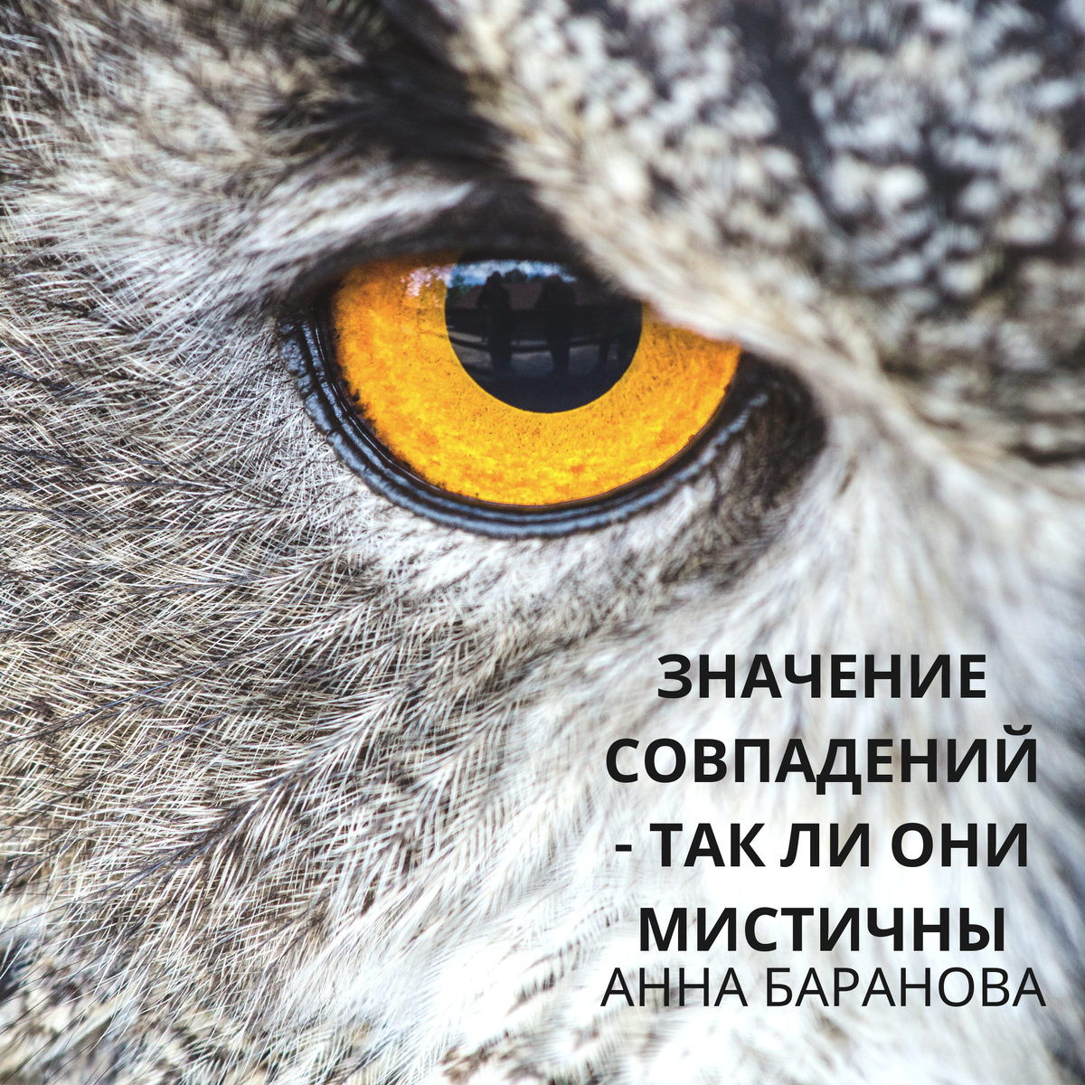 Значение совпадений Анна Баранова