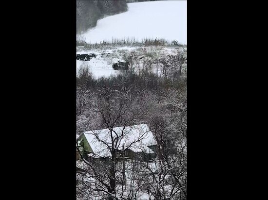 Ботанический сад