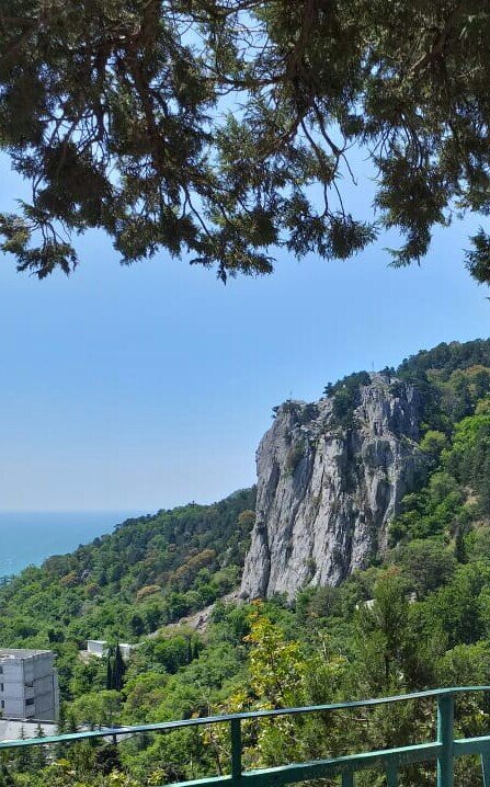 Фото автора.