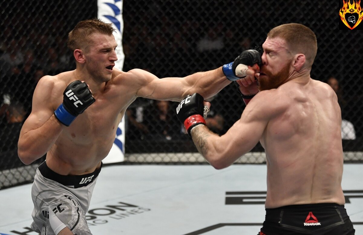 UFC , UFC Fight Night