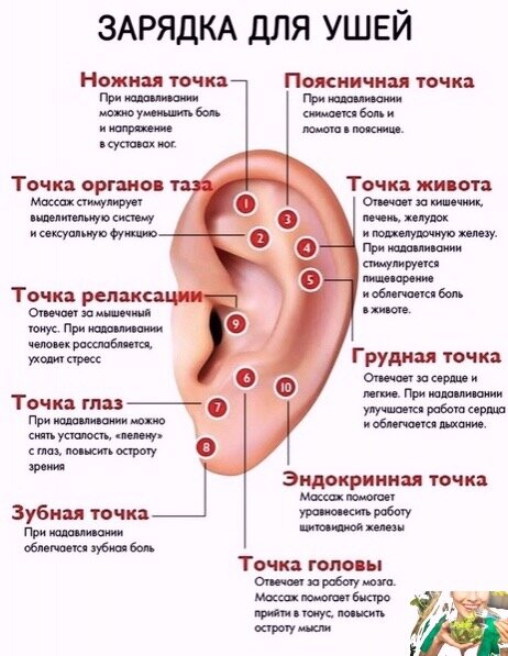 План-схема зарядки для ушей!!!