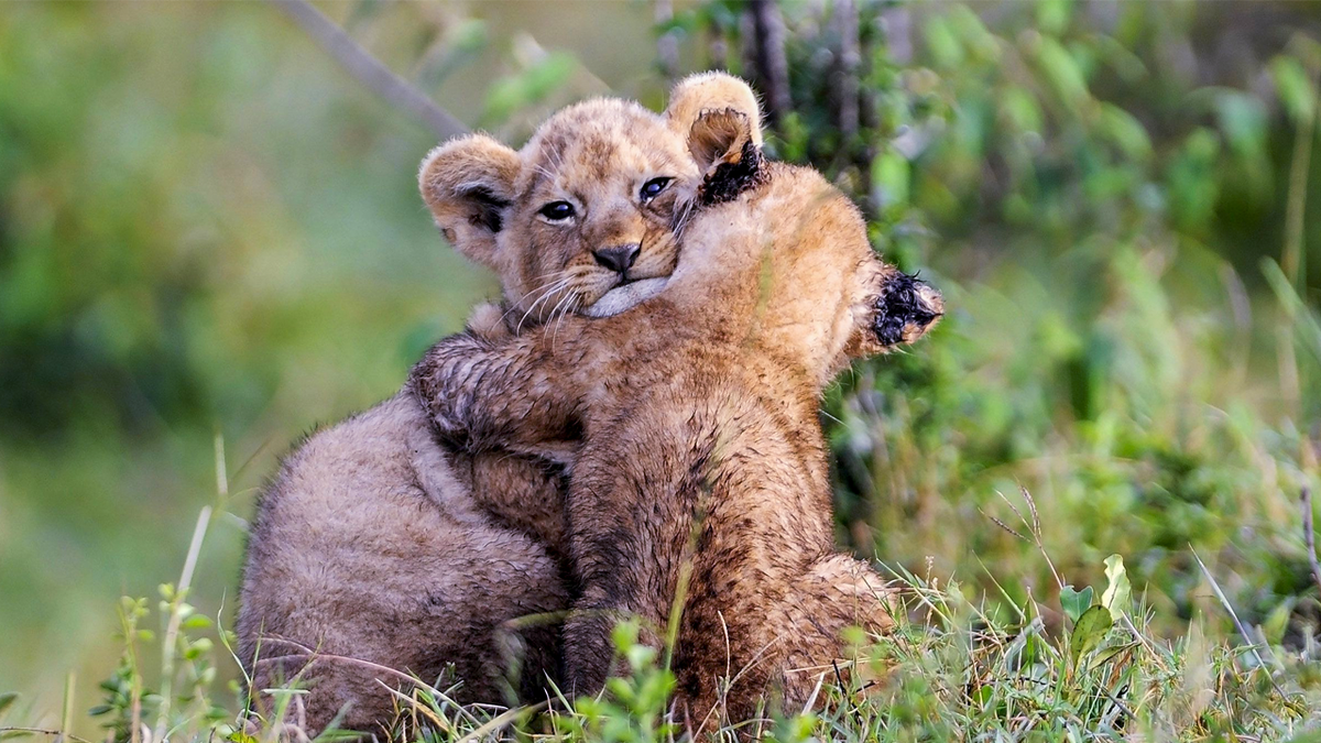 здоровая пища,здоровая диета,как похудеть,потеря веса,сбросить вес,здоровый образ жизни,нездоровый образ жизни,быстро похудеть,похудеть за месяц 