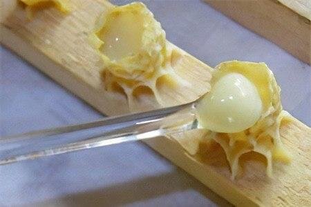 мисочка пчелы "Матки" куда складывают маточное молочко