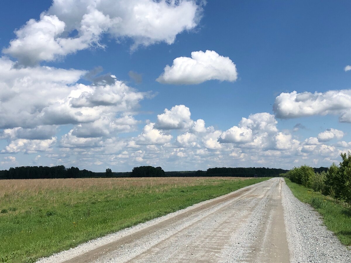 Дорога на Кузнецовку. Фото автора