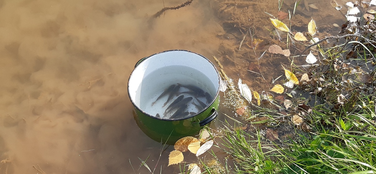 Уравниваем температуру воды 