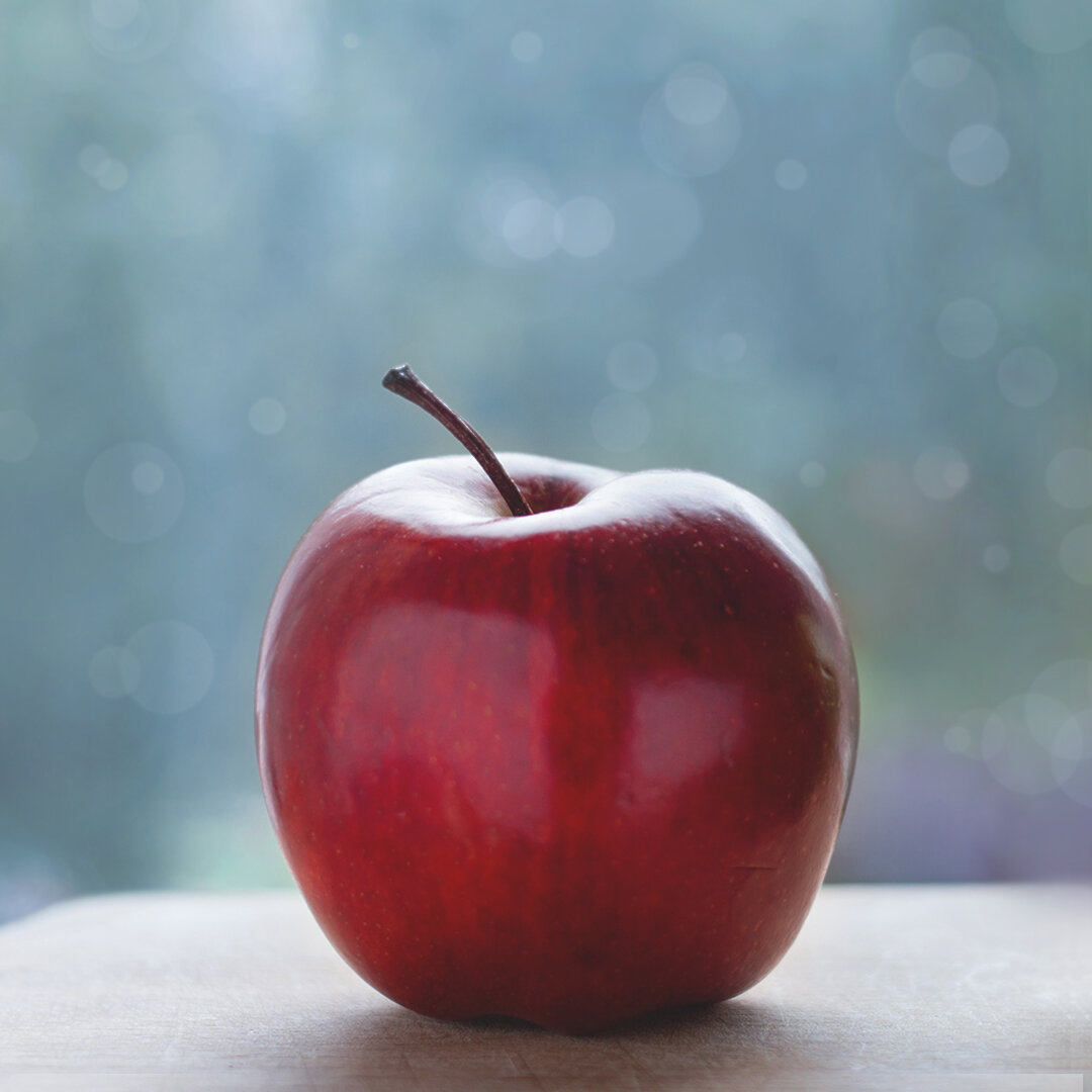 Источник фото: Shutterstock