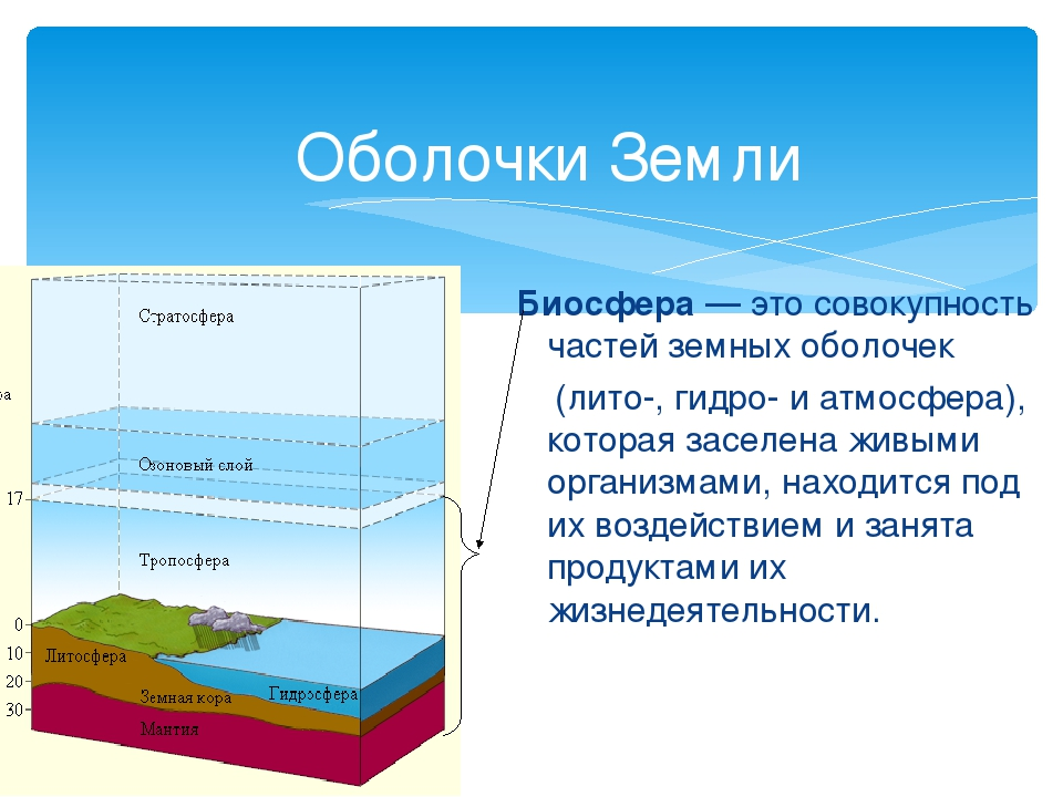 Самая тонкая оболочка земли