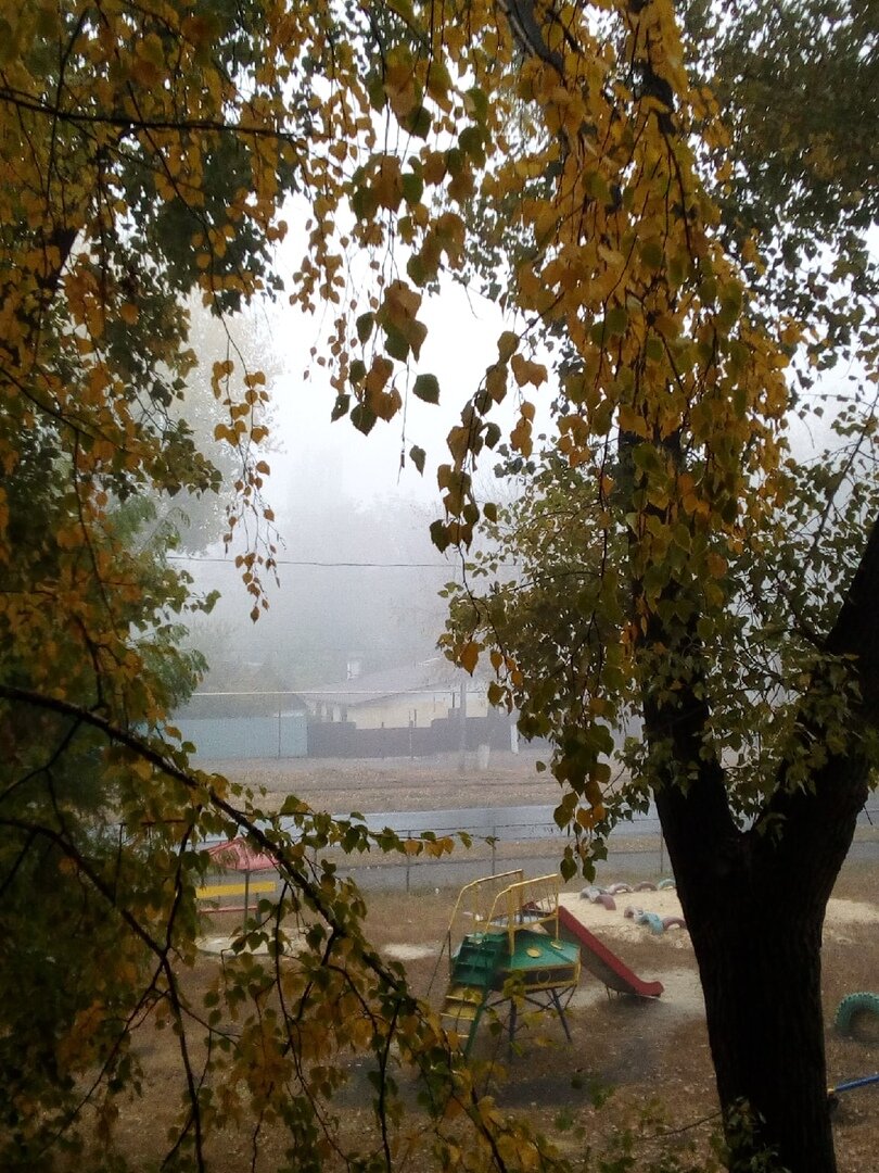 30.10.20 
Тумана Серебром окутана округа…
Небо и Земля – целуют друг друга…
Сплелись Молоком …
Ароматами Танцуя…
О чём-то любовно воркуя…
Небо – Пространство бездонное… 
Земля – влажная, томная…
Октября ОКИ-ЯНА - Единой Поры
Кротость и Нежность – Величия  Дары…
Прозрачна, тиха…
Березка – подружка…
Осенней Пары – полная Кружка…
Капля сверкает…
Маэстро – играет…
Усмотренным Мигом  - 
Сияет…
Птицы затихли…
Лампадка на ГХИ…
Осеннее МАКОШЬЕ…
Узри…
В Святые Воды той Реки - бросали камни дураки, 
А Мудрецы ловили рыбу - наперекор.... и вопреки...
(«Замысел» ДОНФИЛЬМ)

Звук - демонстрирует прошлое….АБВГ - ДЕЙ - КА… Каждый мужчина и каждая женщина – Звезда… Неизменно счастливы будущим…. Один Квантон времени (Двенадцать дней)… Пути водная Нить Творчества... РАТХА ЯТРА - колесница Джаганнатха… Рыбы - Альфа и Омега соединились. Свет над горой - Вода остаётся водой… Через радужное тело Дух говорит...
Клокочущий Огонь низшего порядка окружается и сдерживается Великой Силой и приводится в равновесие, ставится под непосредственную Власть Света и Слова, прозвучавшего из недр Света…

ЯСУНЬ  – Слово целителя. Ускоряет заживление ран, продлевает жизнь….

Сила Узора Руниды ОДАЛА… Наследство, наследие -  «своя земля», «свой край»…. В руне Одал кроется секрет ко всем остальным рунам, если человек понял Одал, значит он понял все рунические знаки. Внутреннее, глубинное слово Близнецов - почва. Та самая почва, в которую посажены все мы. Без почвы, без питания, без корней развитие невозможно. Да, человеческое Я иллюзорно. С определенной метапозиции оно не имеет никакого космического смысла. Но нельзя забывать, что оно имеет смысл здесь, на Земле, в нашем окружении, в родной среде. Человек - это ансамбль социальных отношений. Мы определены окружающими, традицией. Родители, родственники, друзья, любимые, культура, земля - все это накладывает пределы, придает нам форму, без которой человеческая жизнь просто невозможна. Одал также символизирует конец света как венец абсолютной свободы (т.е. уничтожения), напоминая о том, что почва, дом, местонахождение, ограниченность, преданность имеют великий смысл для человека. Это великий соблазн - вдохновиться свободой и потерять дар формы, вдохновиться вседозволенностью и утратить определенность, поддаться соблазну растворения и лишиться укорененности..."

ЧАРА Трансцендентного Присутствия ЛИМИ…
День САМАДХИ…
Нота ЛЯ… Млечный Путь… 
Земля…
Осенние Деды – Рода Победы…
ПАДМАСАМБХАВЫ ПЕСНЬ – растворяет всякую спесь…
Я поглощаю дуальные мысли как пищу…Я разряжаю ментальный электрон на Северном Полюсе… В Плюсе и Минусе…
Чистые Самайя… В Ладу с Силой Рода… 
Твоей реальности Пиксель…По Роду – Порода…
Погода  и Пагода…

Резонансный Седьмой Тон Творения…
Струны – Благословение…
Дня Кин 215 - УК МЭН (Юпитер) – Синий Резонансный Орёл 
И Ноосферы Кин 63 - Спектральная Синяя Ночь (Сатурн), ХУНЛАХУН АБКАЛЬ 
Во Дворе ДУХА в Зале Исцеления - Синей РУКИ МАНИК
 – Преобразуют Сиянием ЛИК… Луны МУЛУК…
Струна, Стрела, Тетива – СИВЫ Лук…
Кодон 35 – «РАСШИРЕНИЕ РАЗУМА» - Древний Образ Являет – ЦЗИНЬ - Земля\Огонь - Восход /Возвышение….
…Из земли выходит свет.
Князю – возвышение.
Летят три синих птицы.
От матери-царицы - 
Ему благословение…..

Звучанием закрепим СТРУНУ  Стадии Солнечного Расширения 
МУЛУК - ДЗЕН Бдения….
Электрический пульсар Ощущений. Тона Творения: Электрический – Резонансный - Спектральный – Йод - Спектр: Активация – Сонастройка – Освобождение – Синтез.
Галактическое Звучание - ОШ ЧУЭН (Венера) - УК МЭН (Юпитер)  - ХУНЛАХУН КАУАК (Плутон) - ГО' ЛАХУН (Планетарный ЛОГОС)
- АКАШАГАРБХА (Сокровищница - вместилище бесконечного пространства), преисполненный радости, слушает он наивысшую чудесную дхарму, которую проповедует Великий Победоносец -Творец Цветочных Домов…
Электрический обертонный пульсар. Тона Творения: Электрический – Галактический – Космический
Галактическое Звучание - ОШ ЧУЭН (Венера) – ВАШАК КИБ (Сатурн)  - ОШЛАХУН ИМИШЬ (Нептун) 
- Вселенная - это Универсум ИНЬ… Космос - это Универсум ЯН... Вместе они - составляют единую, расширяющуюся Свето-тень Мира - они зарождаются, взаимодействуют...И существуют внутри друг друга…ДАО - их вечный путь друг к другу...

И Рисунком Небес завершим Слияния процесс - 
Завтра Полнолуние Октября - Завтра откроются тропинки меж мирами и сам Велес, властитель перекрёстков, превратит каждую дорогу в дверь... Встреча Пяти на перекрёстке…  Об этом завтра…
А сейчас - Четырнадцатый День Луны – ШУКЛА ЧАТУРДАШИ – ДЖАВАМАЛИНИ НИТЬЯ…
Три ТАУ- Квадрата  - Три Брата…
Не видимые глазу Связи… 
Слагают ВЯЗИ –  Для Гойа виюрирующего мантрамами….
Ибо где сокровище ваше, там будет и сердце ваше….

Будь!

3S
