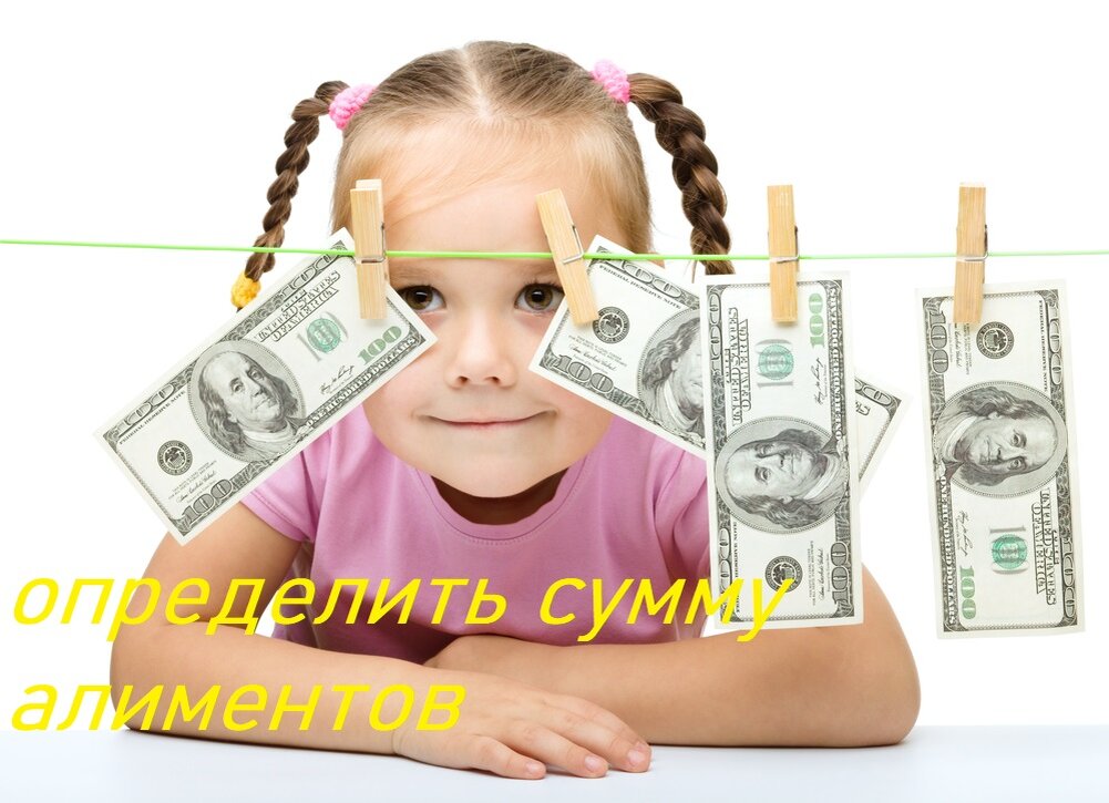 определить сумму алиментов