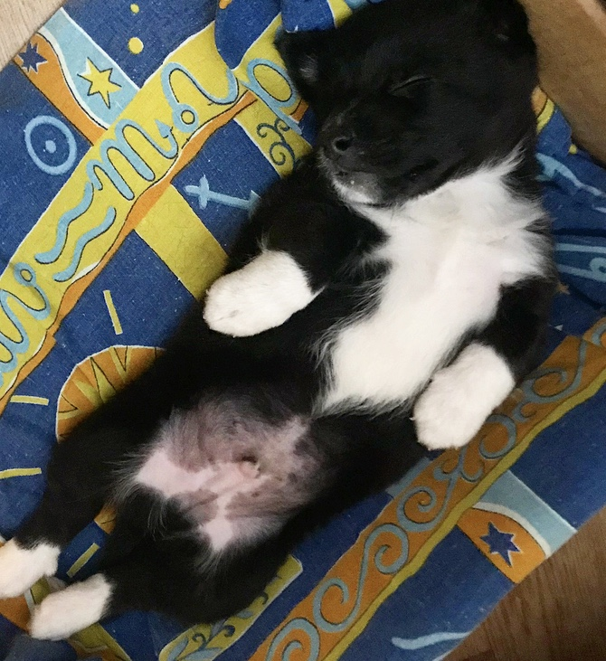 Третья неделя с нами