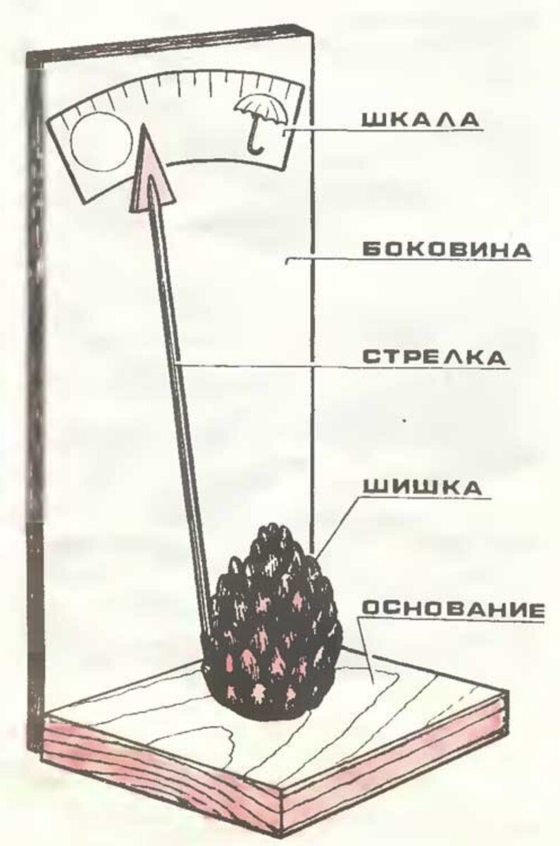 Рисунок гигрометра из шишки в журнале «Юный техник», СССР.