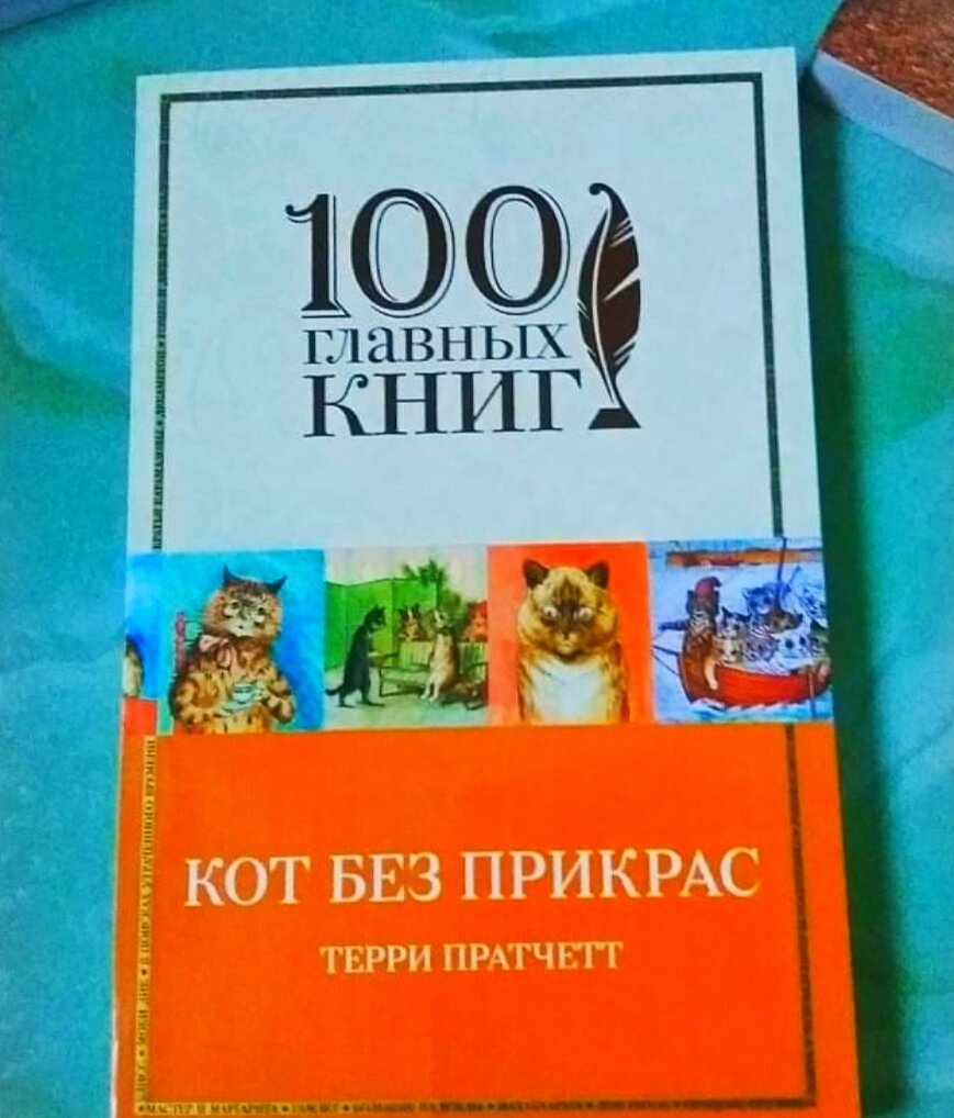 Обложка книги в мягком переплете. 