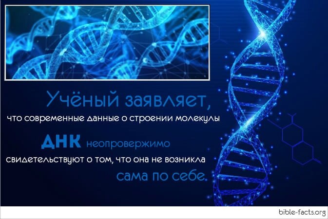 ДНК и Библия | Интересные Библейские факты | Дзен