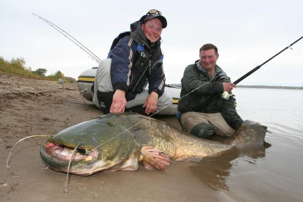 Снасти для ловли сома в сентябре на спиннинг