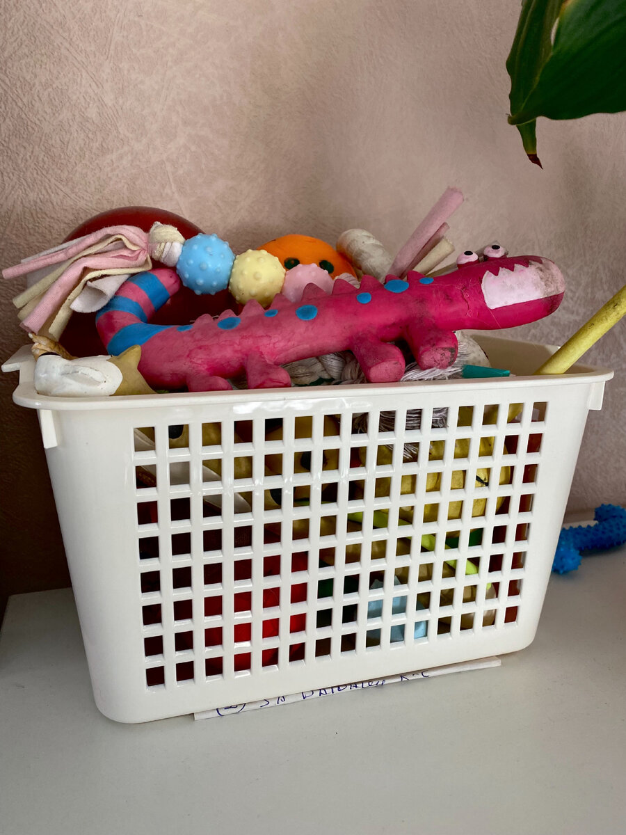 Игрушек так много, что часть убираем