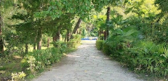 Дорожка в парке