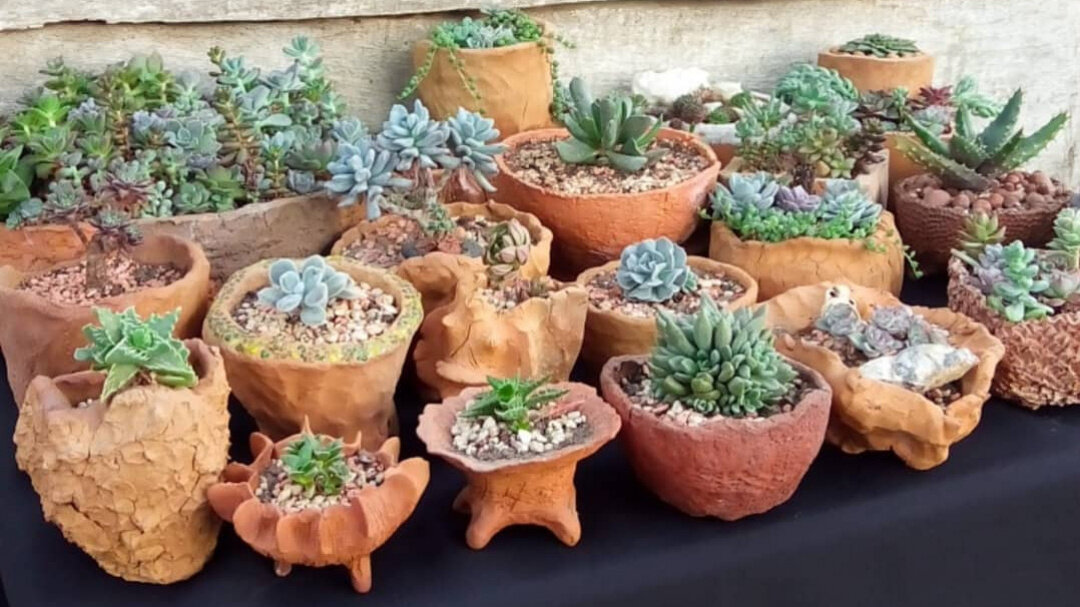 фото со страницы instagram.com/succulent_art_company