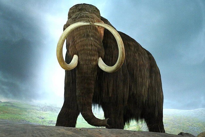 Источник https://sitekid.ru/