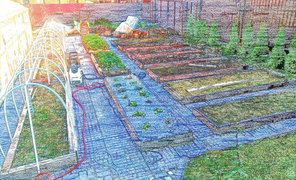 Мой огород осень 2021