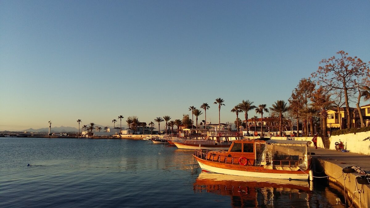 Фото: pixabay.com