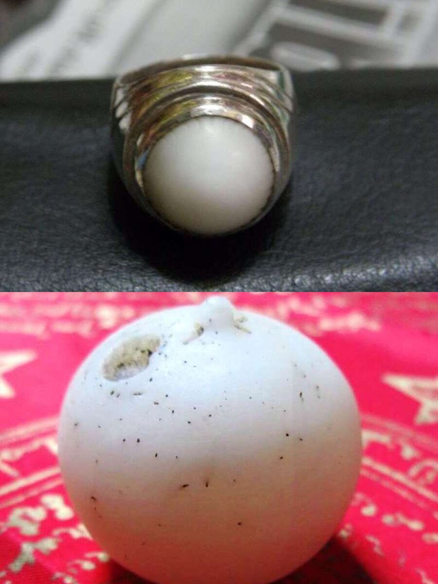 Вот такие картинки выдаёт интернет, при запросе "кокосовый жемчуг".