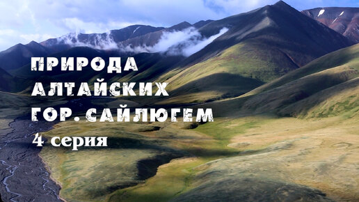 Сайлюгем: в краю степей и гор (4 серия). Горный Алтай. Дикая природа России. Сибирь заповедная. Птенцы беркута и черного коршуна