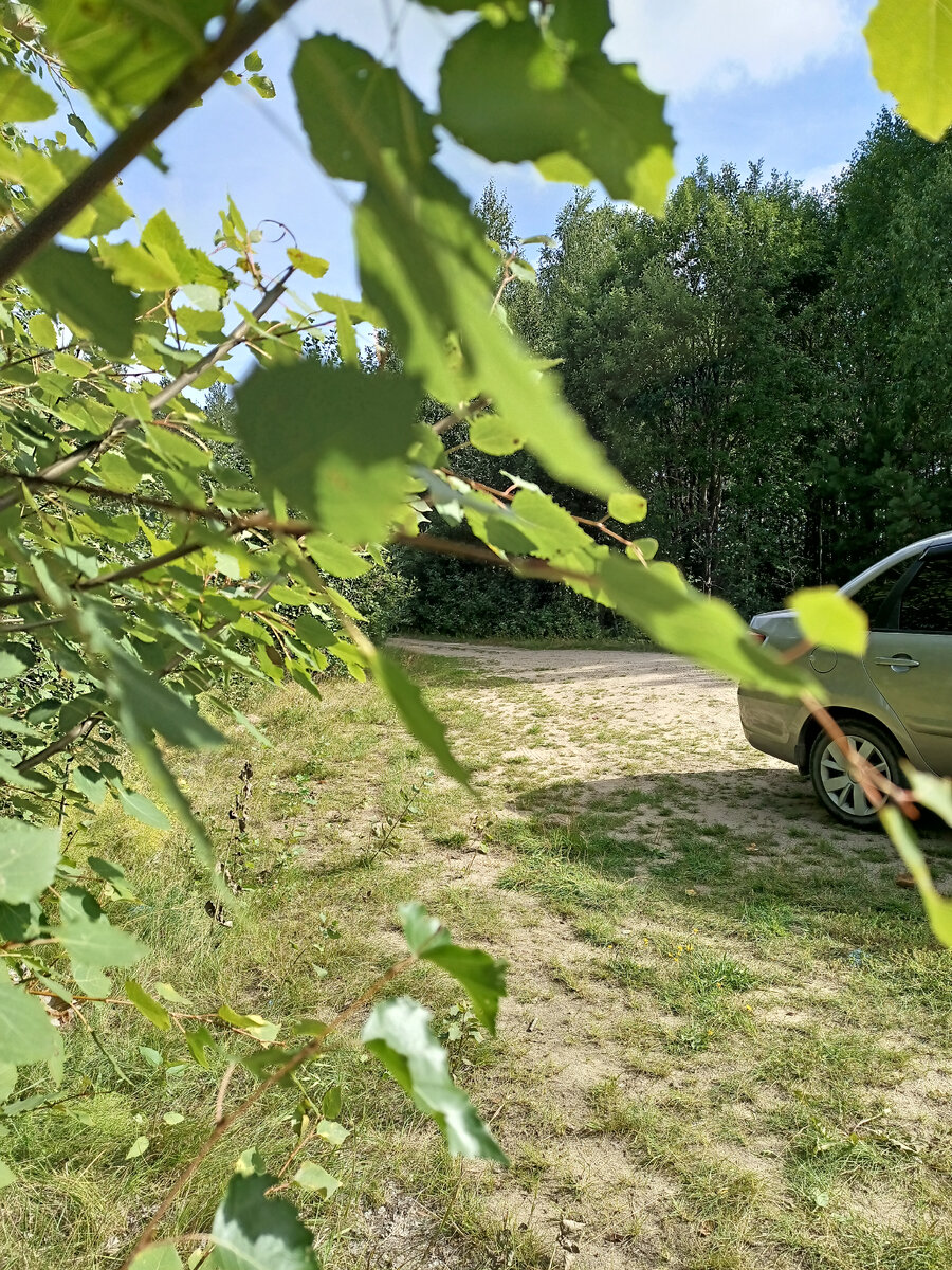 Здесь прекрасное местечко...