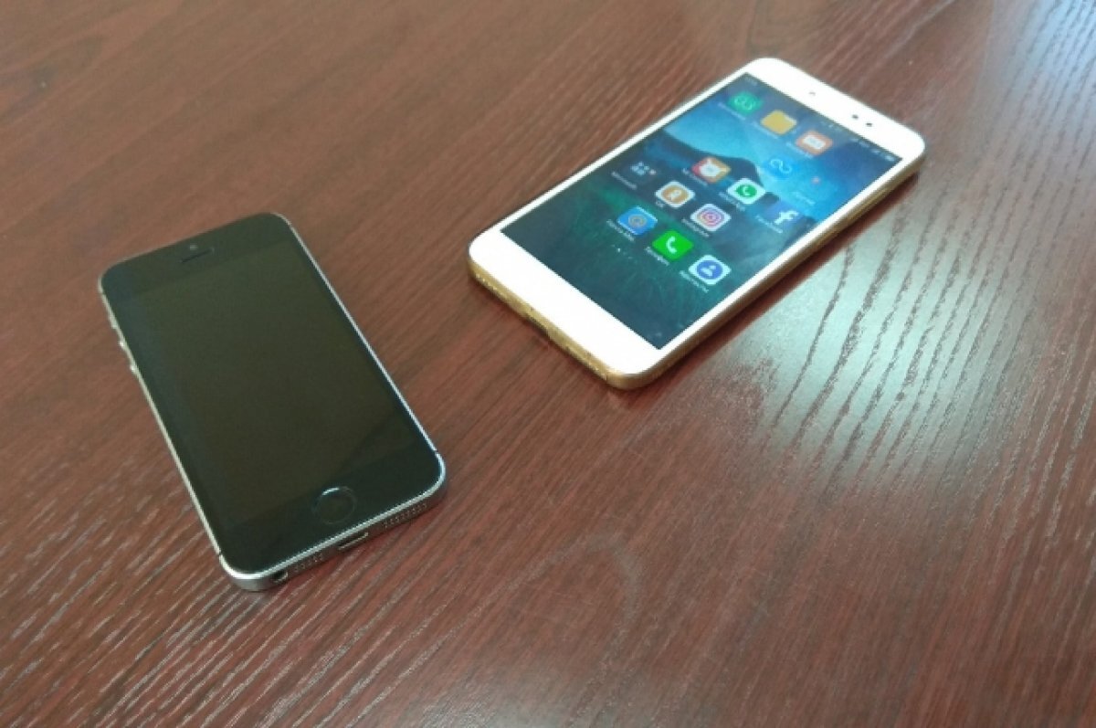    Тюменец украл телефон у собственной матери и сдал в комиссионку