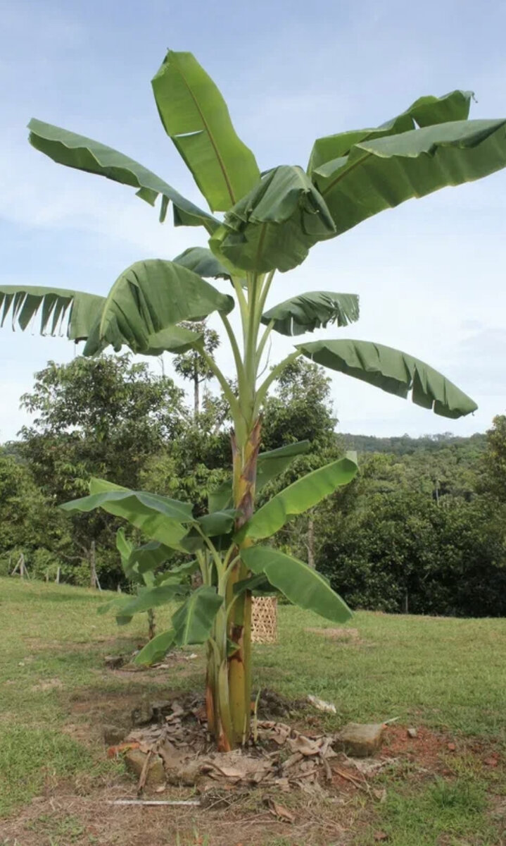 Фото из интернета.