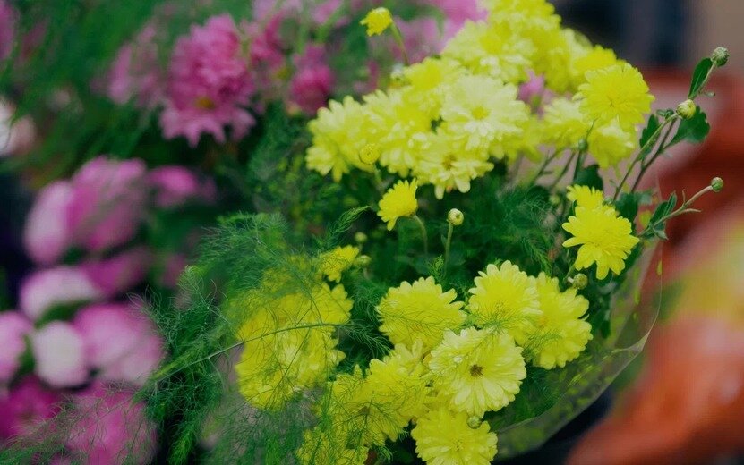    Цветы, сладости или благотворительность – ижевчане все чаще отказываются от традиционных букетов к 1 сентября