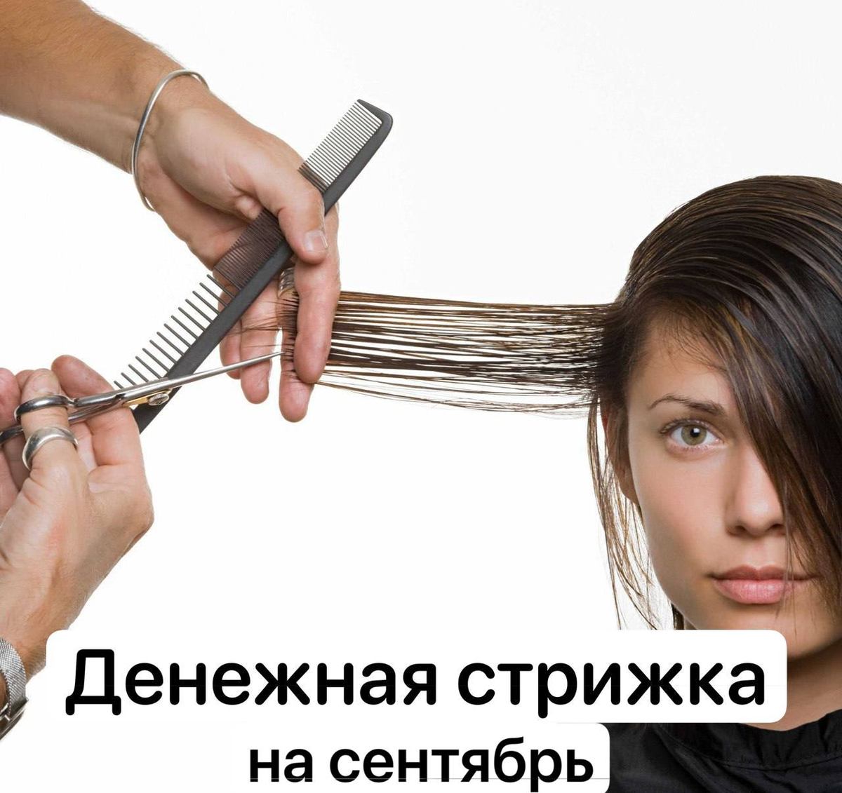 фото из простора Интернета