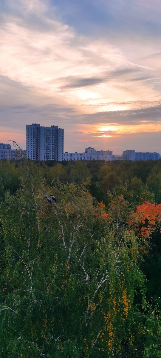 Я загадала - смогу сфоткать эту парочку, значит, эта перемена билетов к лучшему и так и должно было быть! Сфоткала! А могли б и улететь, когда я окно открывала и сетку москитку отодвигала) 