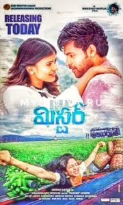 В Хайдарабаде находится одна из крупнейших киноиндустрий Индии — Толливуд, а в пригороде расположена киностудия Рамоджи. Именно Рамоджи занесёна в Книгу рекордов Гиннесса как самая большая киностудия в мире.