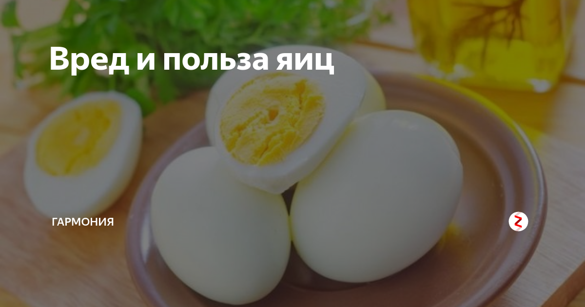 Пить сырые яйца из магазина. Польза яиц. Вредные яйца. Куриные яйца польза и вред. Яйца чем полезны для организма.