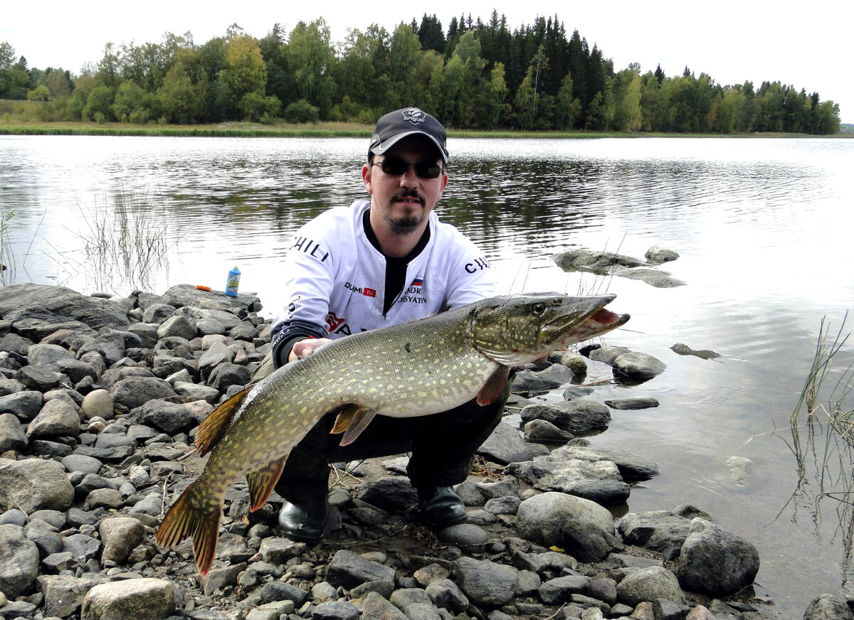 Если возможна поимка достойной щуки, поводок желательно ставить сантиметров тридцать, а то и больше!!!