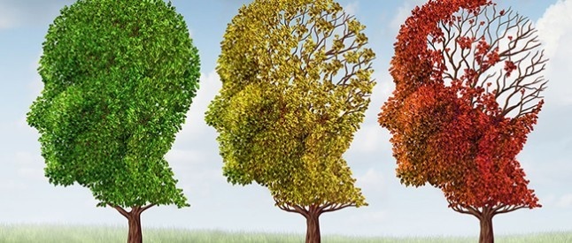 Источник изображения  - medic.ua