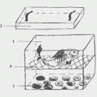 Такая коптильня-рекомендуется для небольших порций копчения.