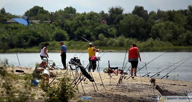 Донка своими руками