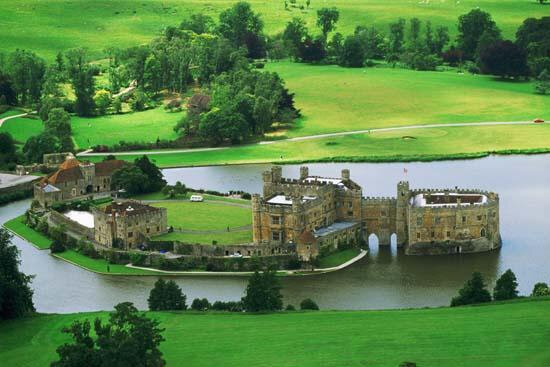 Картинка из сети