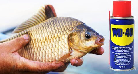 Фото: http://i.ytimg.com/vi/h3XKDUnJ0jg/0.jpg