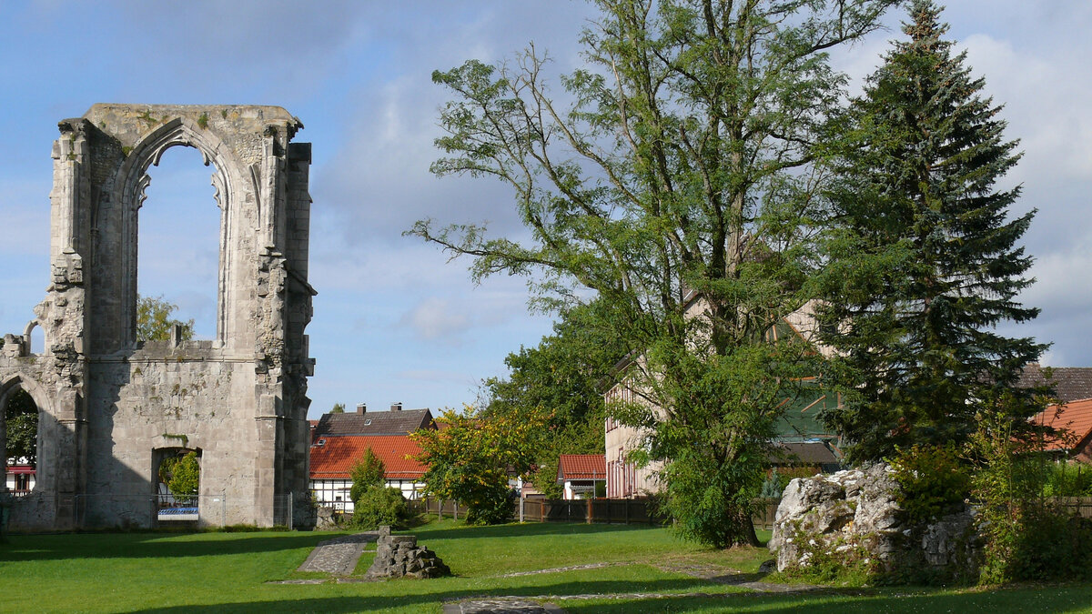 Фото: stachelbeer, https://www.flickr.com/photos/mario_storch/