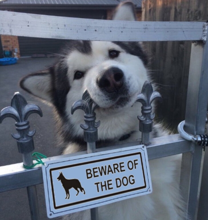 фото: shareably.net