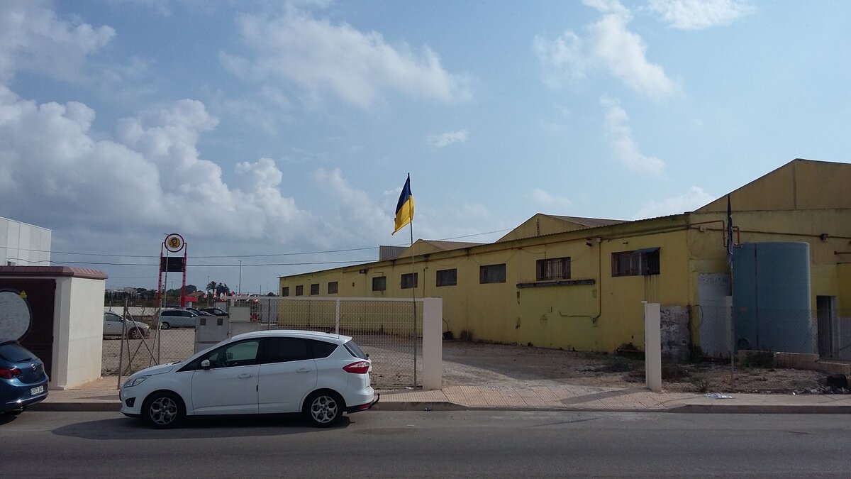 Теперь реет на заднем дворе (2018 год)